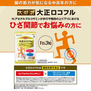 公式 大正製薬 大正ロコフル 90粒 グルコサ...の詳細画像2