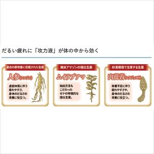 公式 大正製薬 ゼナF0攻力液 50mL×3本...の詳細画像2
