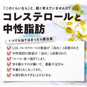 公式 大正製薬 コレステロールや中性脂肪が気に...の詳細画像4