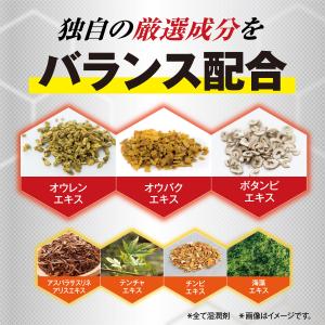 公式 大正製薬 フレッシュリアップHOGSPA...の詳細画像4