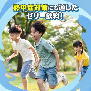 【20%OFFクーポン】 熱中症 公式 大正製...の詳細画像4