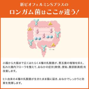 公式 大正製薬 新ビオフェルミンSプラス錠 130錠の詳細画像5