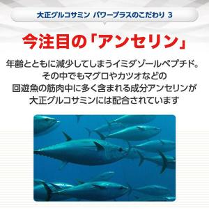 グルコサミン コンドロイチン サプリ サプリメ...の詳細画像5