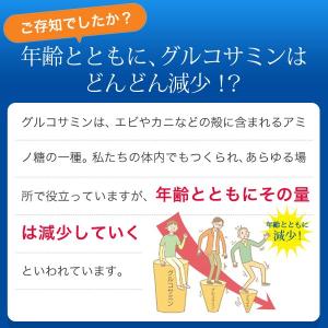 グルコサミン コンドロイチン サプリ サプリメ...の詳細画像3