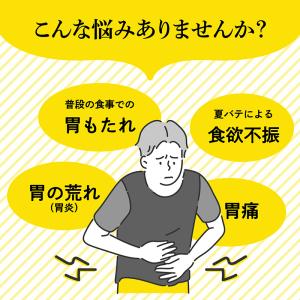 第2類医薬品 大正漢方胃腸薬 錠剤 220錠 ...の詳細画像2