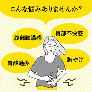 第2類医薬品 大正漢方胃腸薬 錠剤 220錠 ...の詳細画像3