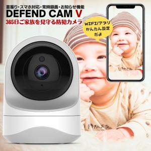 防犯カメラ 200万画素 動体検知