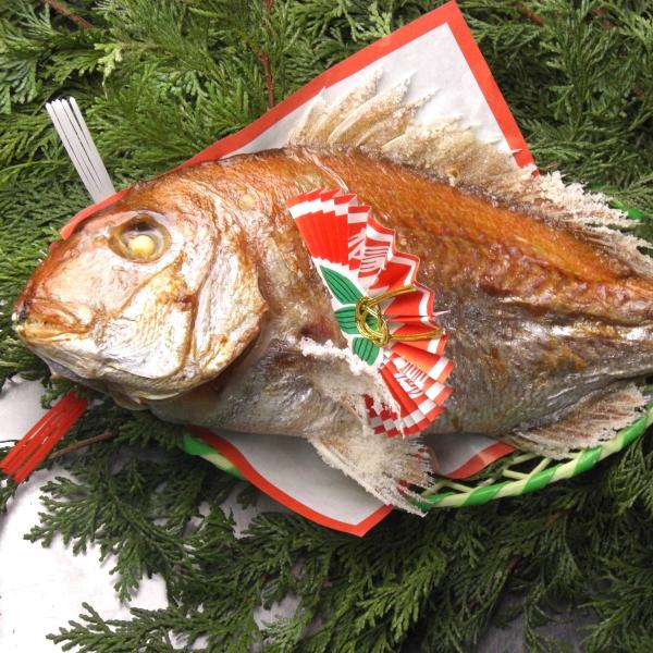 お食い初め 鯛 伊勢神宮外宮奉納 明石 淡路 瀬戸内 天然真鯛 500g 炭火焼、焼鯛  祝い鯛 祝...