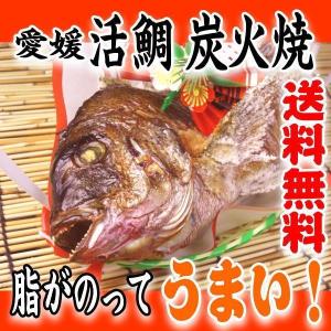 お食い初め 鯛 愛媛 の 活 真鯛 1kg を炭火でじっくり、焼鯛 に 祝い鯛に最適な 尾頭付き鯛 の 焼き鯛