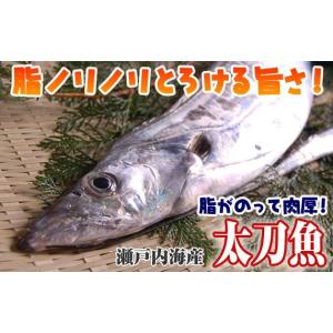太刀魚 600g（山口県周防大島産 もしくは長崎のブラン...