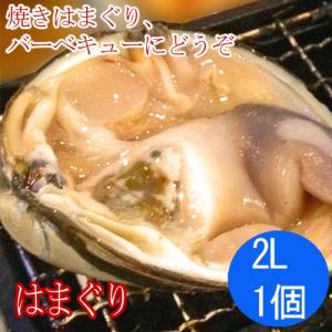 はまぐり2Ｌ　１個（バーベキュー、焼きはまぐり用）｜taitai