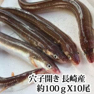 『穴子（あなご）開き（ 1尾100g 前後が10本 ) 長崎県産』（