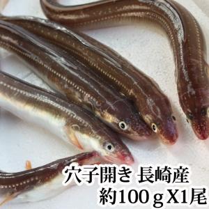 穴子（あなご）開き（ 1尾100g 前後 ) 長崎県産（ アナゴ