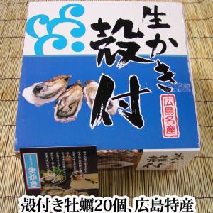 【12月25日まで！お歳暮にどうぞ！】広島特産　牡蠣 「 かき小町 」 殻付き（ かき ）20個セット 軍手 ナイフ付き（ 生 ）