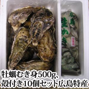 【12月25日まで！お歳暮にどうぞ！】広島特産 牡蠣（かき）むき身（ 生 ）500g「かき小町」殻付き10個セット 軍手 ナイフ付き カキ お歳暮 化粧箱 ギフト用