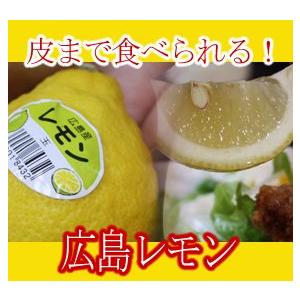 国産の広島レモン1個（ばら売り）レモン塩にもどうぞ（39個以上で送料無料）