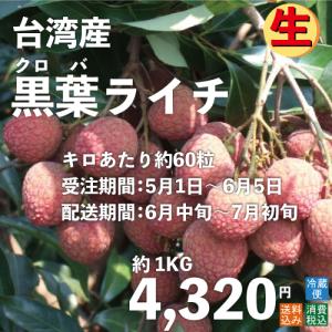 黒葉ライチ1kg 台湾産 期間限定 送料無料
