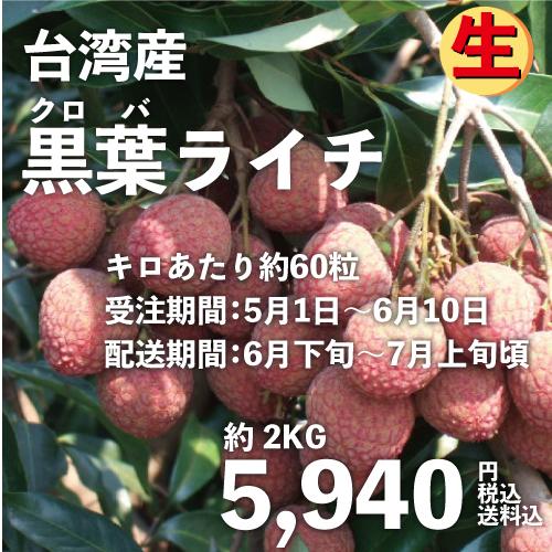 黒葉ライチ2kg 台湾産 期間限定 送料無料
