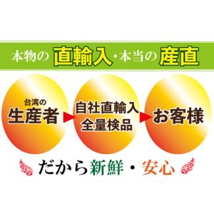 お中元 御中元 ギフト アップルマンゴー2.5...の詳細画像3
