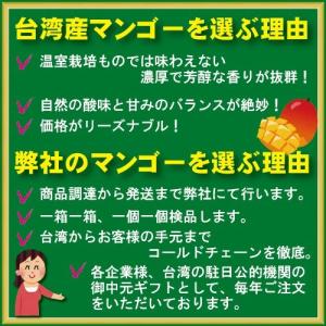 お中元 御中元 ギフト アップルマンゴー2.5...の詳細画像2