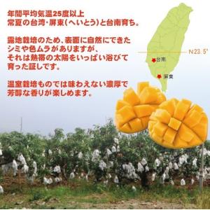 お中元 御中元 ギフト アップルマンゴー2.5...の詳細画像4