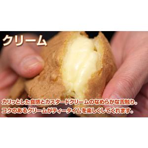 たいやき（クリーム）10個入｜taiyaki-kobo