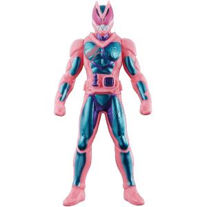 BANDAI（バンダイ） ライダーヒーローシリーズ 41.仮面ライダー龍騎