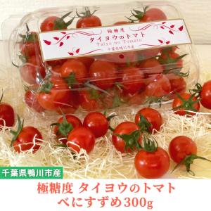 トマト フルーツトマト 産地直送 千葉県産 お取り寄せ タイヨウのトマトべにすずめパック 300g｜taiyo-no-tomato-shop