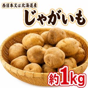 完全予約販売】秋田の天然山菜「生みずのこぶ（ウワバミソウの実