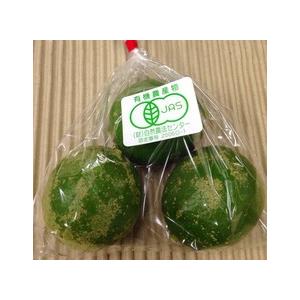 レモン（B級） またはマイヤーレモン2〜3個 ※常温配送　※皮にキズ・シミ等あります（95062）