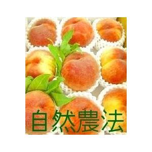 8/中旬頃〜  中沢さんの奇跡の桃  約5kg   送料無料(一部地域別途)※沖縄・離島への発送不可 ギフト フルーツ 桃 もも お取り寄せ