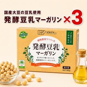 発酵豆乳マーガリン（160ｇ）×３個セット※冷蔵