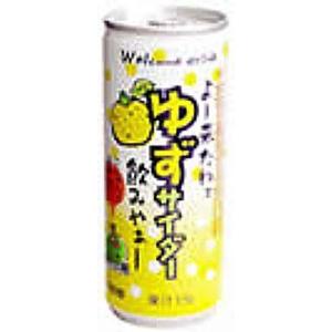 ゆずサイダー 250ml 　 　※高知県のゆず使用！（HZ)