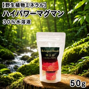 サンベール ムコテイン 340粒 サンベールムコ多糖(粒) 賞味期限2026/06