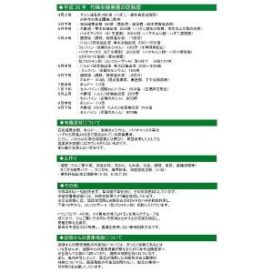 【B級品紅玉4.5kg】 (家庭用) 竹嶋有機...の詳細画像2