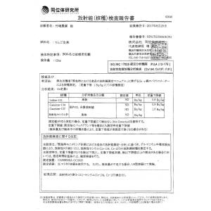 【B級品紅玉4.5kg】 (家庭用) 竹嶋有機...の詳細画像3