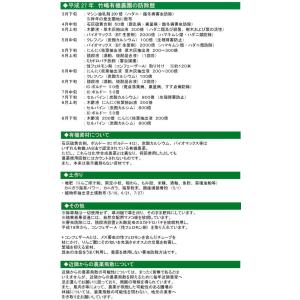 【B級品紅玉4.5kg】 (家庭用) 竹嶋有機...の詳細画像4