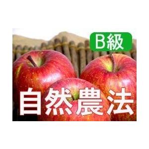 りんご 林檎 リンゴ お取り寄せ フルーツ 訳あり (B級品) 竹嶋有機農園の自然農法りんご ふじ(富士) 5kg※他商品との同梱不可