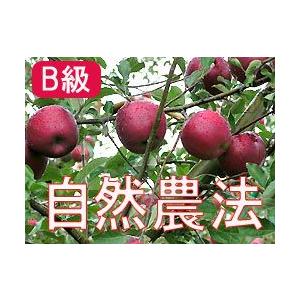 りんご 林檎 リンゴ (家庭用) 竹嶋有機農園の自然農法りんご 紅玉 (約4.5kg)※B級品 ※お取り寄せグルメ
