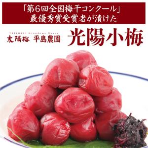 光陽小梅100g「第6回梅干コンクール最優秀賞受賞者が漬けた梅干」 昔ながらのすっぱ〜いしょっぱ〜い梅干 無添加