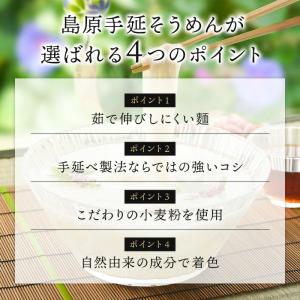 三色麺 島原手延素麺 木箱入り 1.2kg そ...の詳細画像3