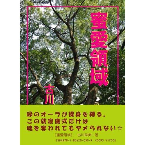 蜜愛領域（古川珠実・著）B6/80頁