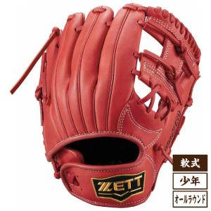 MIZUNO（ミズノ） 少年軟式キャッチャーミット ウィンパルスNEO