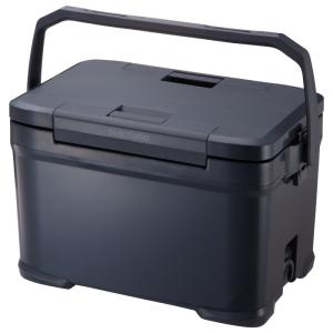 12月末まで❗️最終値下げ選べる先着ソフトケース付き❗️P90 レスポールJr. 4534182050455-1.jpg