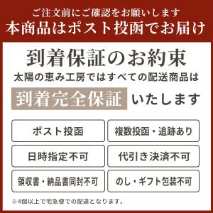 無添加 プルーン 完熟 種抜き 砂糖不必要 ノ...の詳細画像5