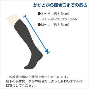 【同色3足セット】美脚 着圧ソックス 綿混 薄...の詳細画像4