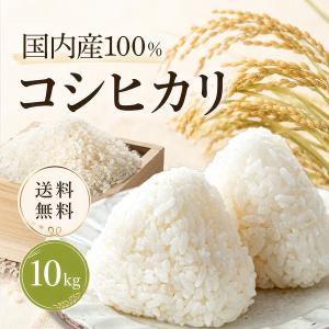 米 10kg コシヒカリ (5kg×2袋) 国内産 米 ブランド米 お米 精米こしひかり 米10キロ 白米