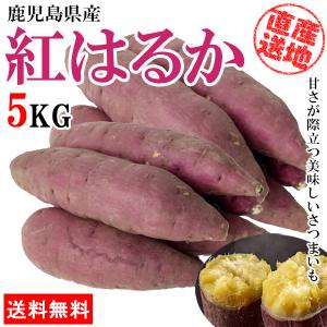 さつまいも 紅はるか 5kg サツマイモ さつま芋 薩摩芋 産地直送 産直 土付き 蜜芋 焼きいも 焼き芋 石焼き芋 芋 いも イモ 鹿児島県産 ngs-003