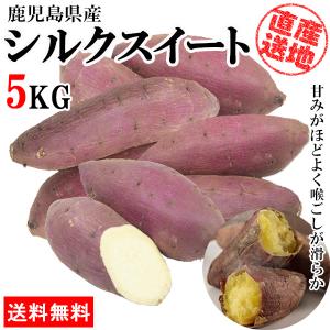 さつまいも シルクスイート 5kg サツマイモ さつま芋 薩摩芋 産地直送 産直 土付き 蜜芋 焼きいも 焼き芋 石焼き芋 芋 いも イモ 鹿児島県産 ngs-004