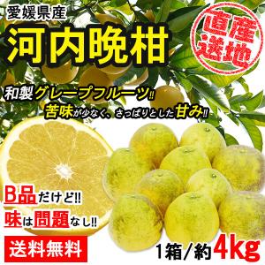 河内晩柑 訳あり 4kg ご家庭用 箱買い B品 サイズミックス みかん 柑橘 フルーツ 果物 産地直送 愛媛県産 YDF-017｜太陽のレモン